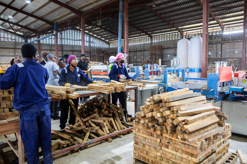Workers of Woodland factory at work | tonyamechi.com
